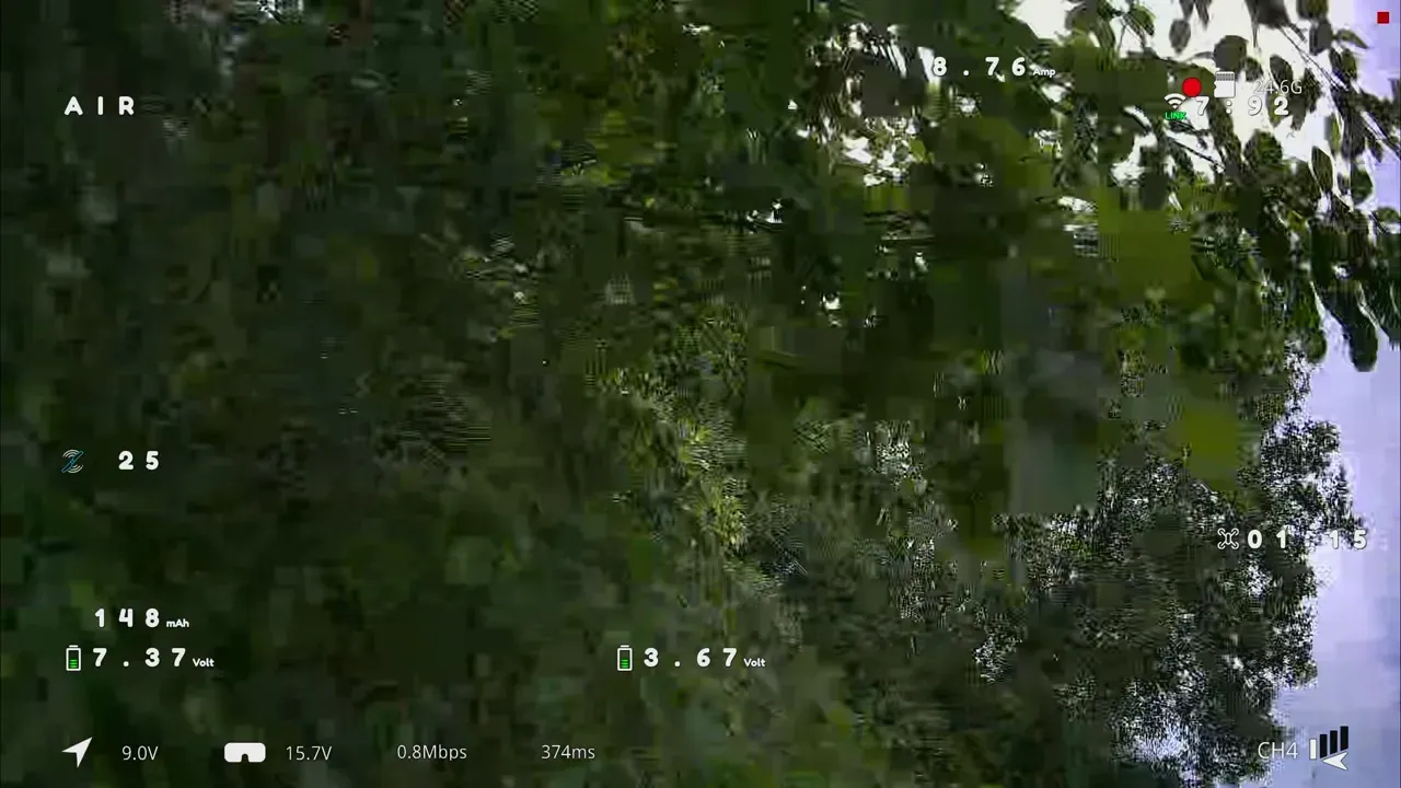 FPV camera view breaking up with tree branches and digital artefacts visible