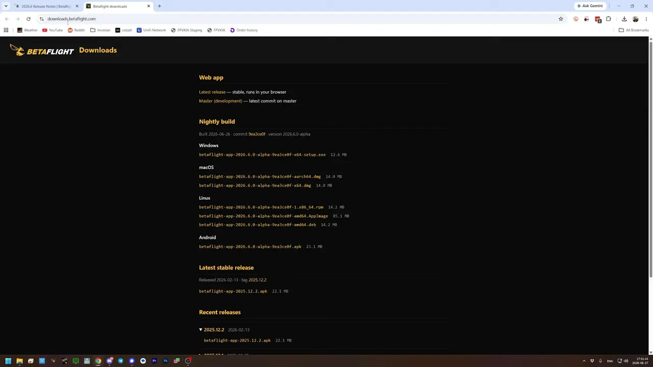 Betaflight downloads page showing standalone app build information on a dark themed site