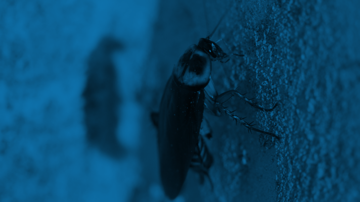 Tips to Nix Cockroach hot spots!