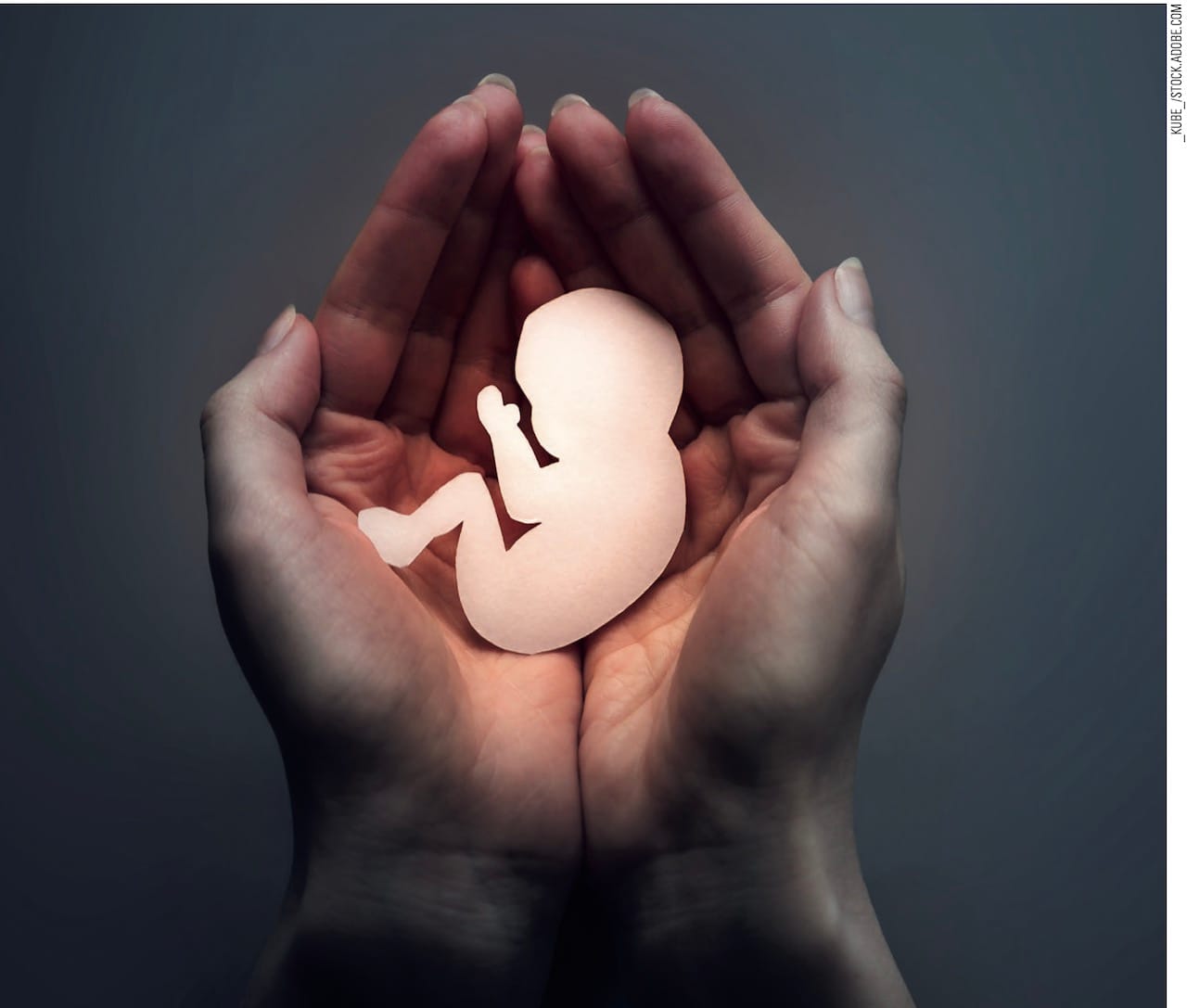 Bildschirmfoto 2024-02-29 um 13.05.39.jpeg