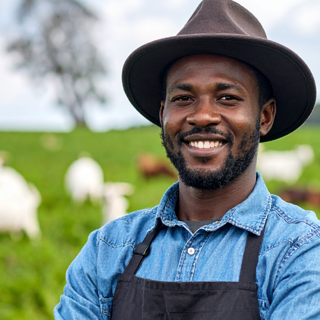 Best Anti-Inflammatory Herbs for Natural Healing