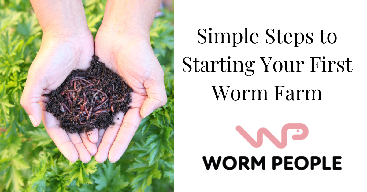 Simple Steps to Starting Your First Worm Farm