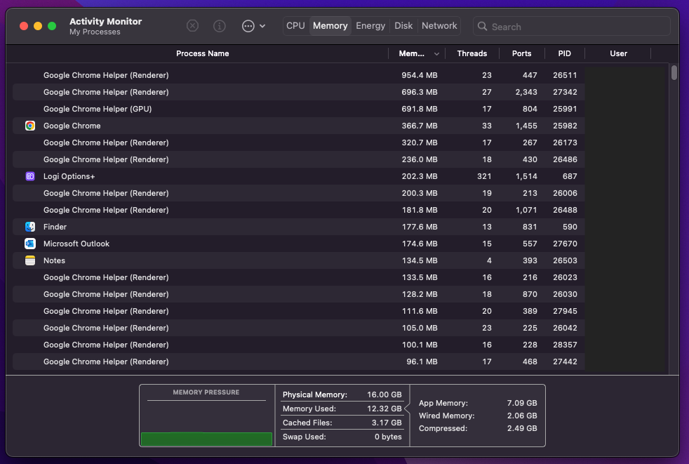 Mac Activity Monitor Memory tab