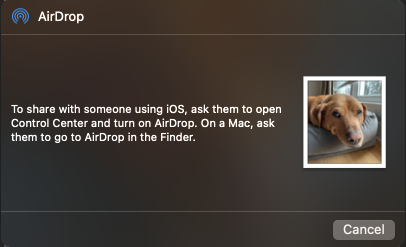 AirDrop warning no nearby devices found