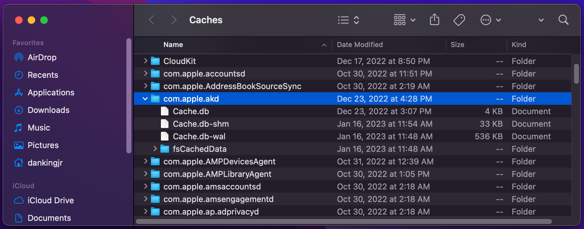 Mac library caches folders