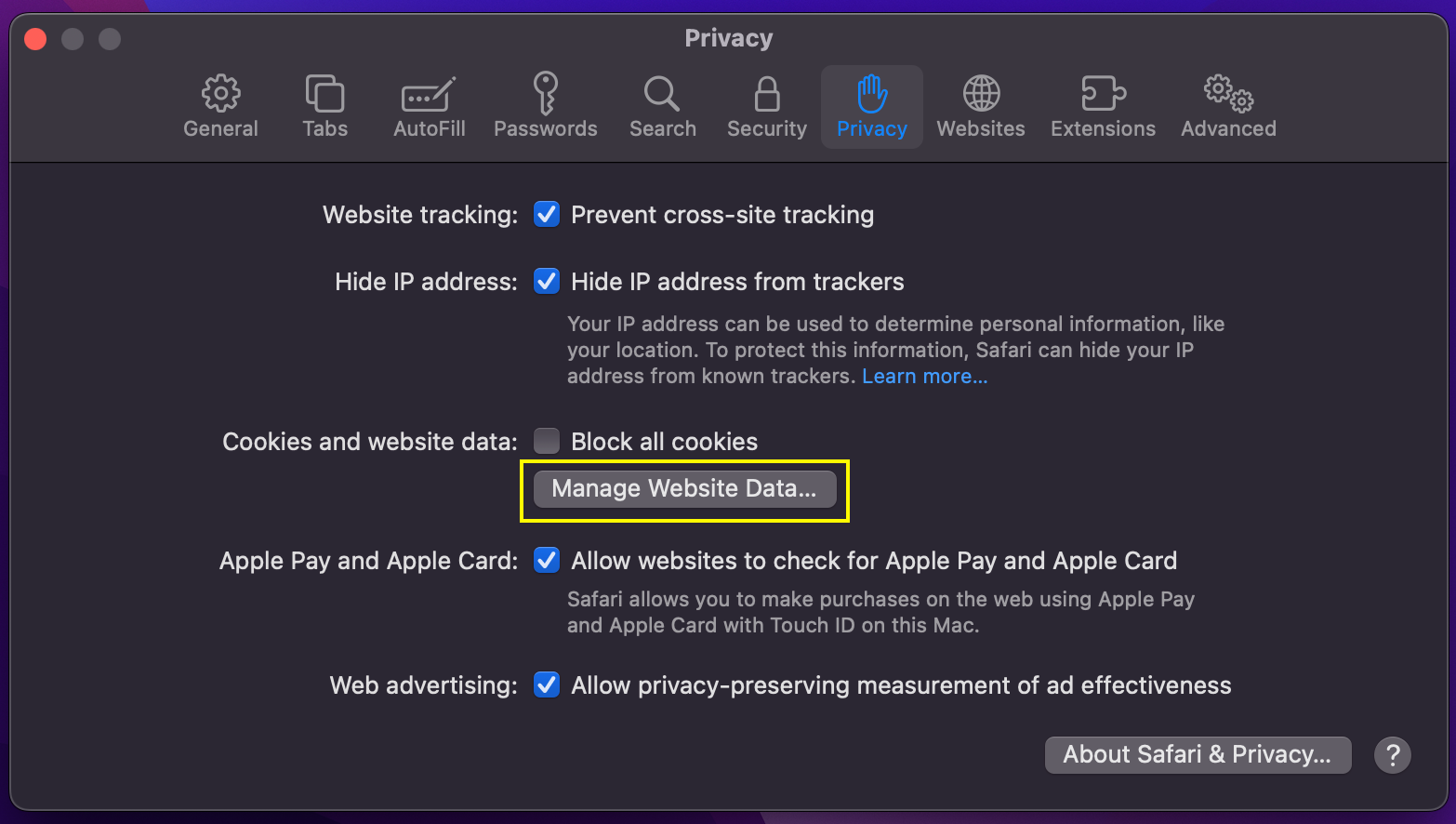 Safari browser Manage Website Data