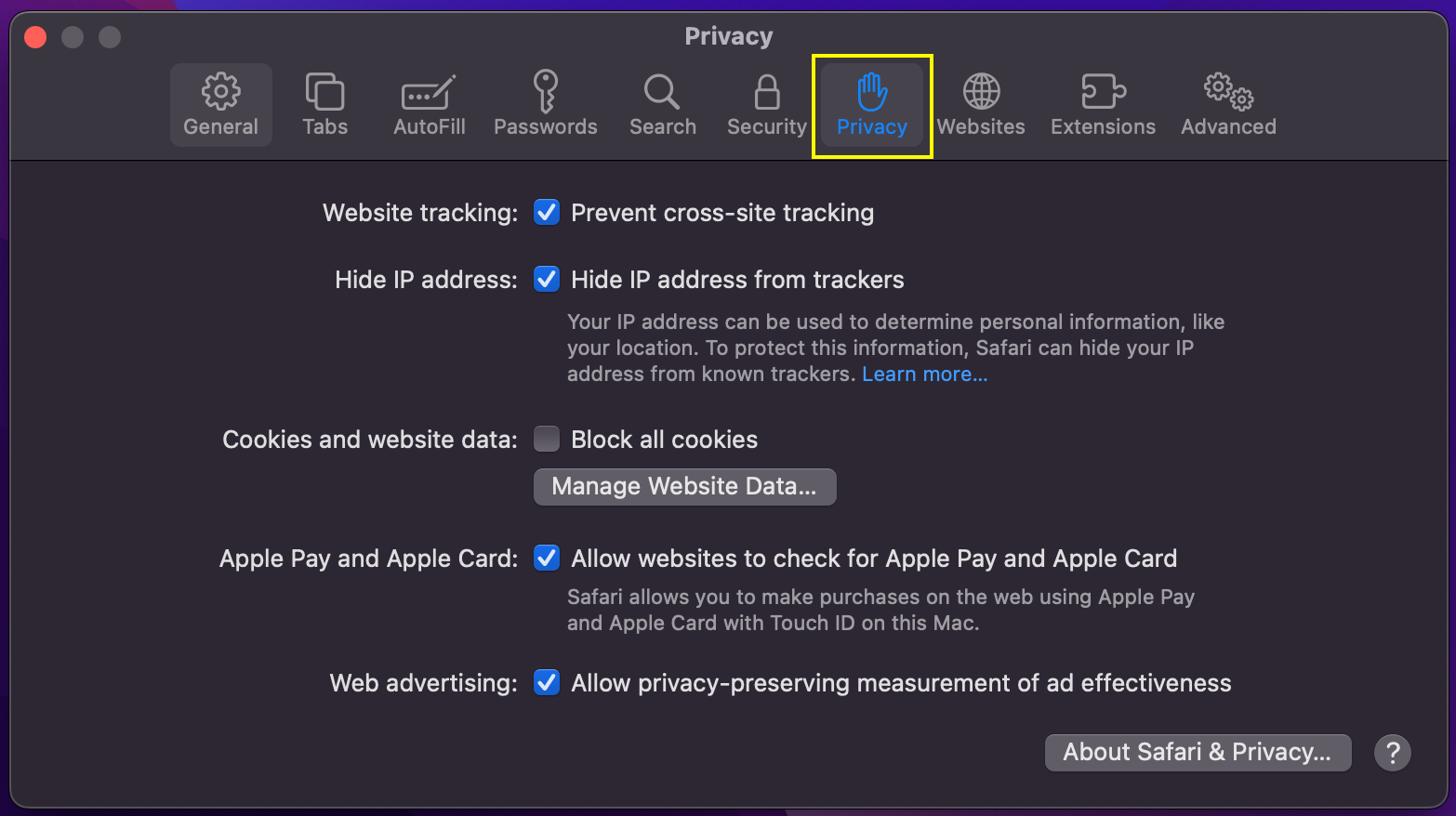 Safari Settings Privacy tab highlighted