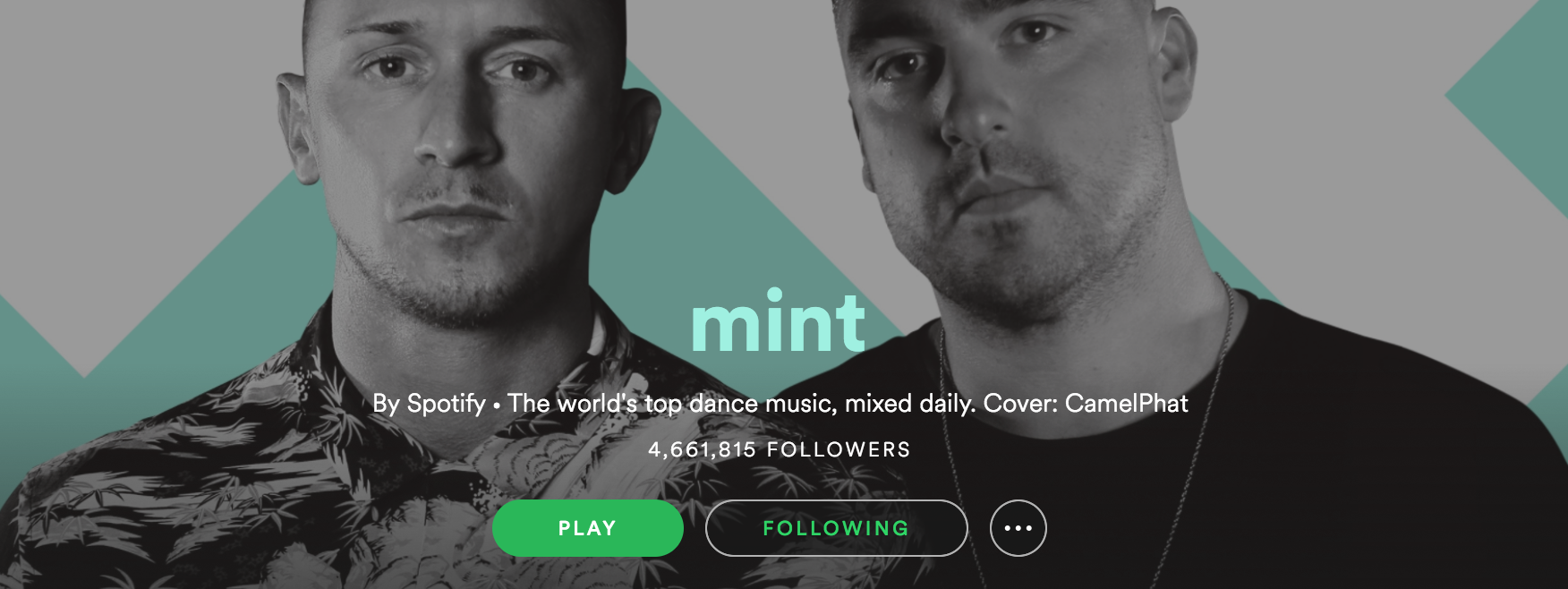 Everything You Need to Know About EDM Spotify Playlist Mint