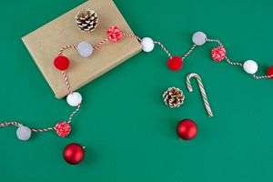 Christmas Trends 2021 : Hope & Holly