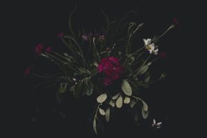 Trend Alert : Floral Night