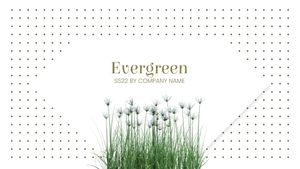 Template Theme : Evergreen