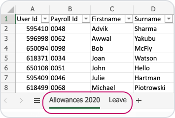 Export your annual leave report by User ID and Payroll ID.