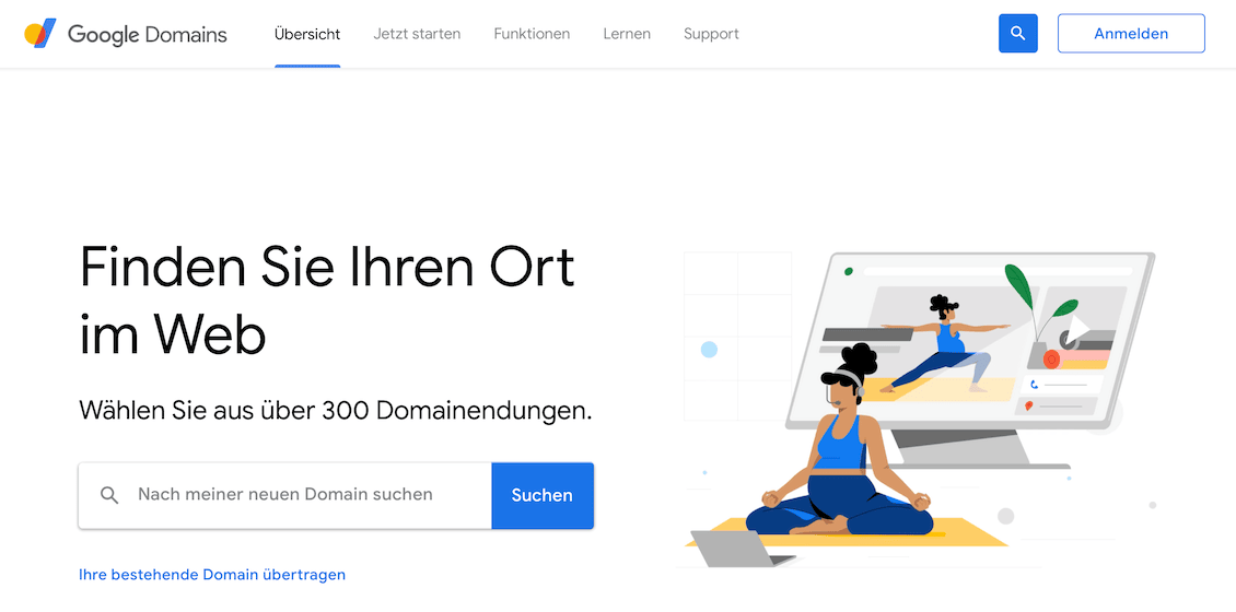 Google Domains Screen