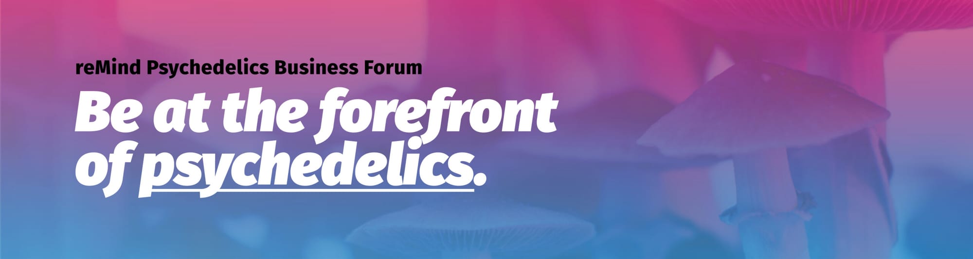 reMind Psychedelics Business Forum 2024 Advancing Breakthrough