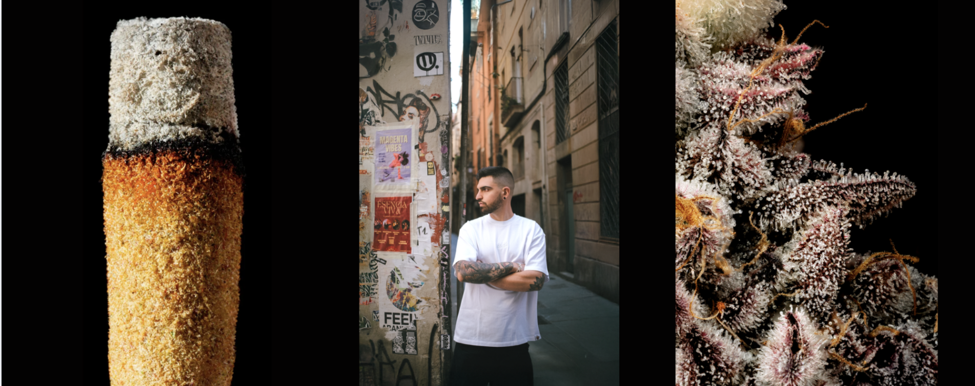 The Macro Mind of Matias Cardozo of Matca Films: A Global Vision for Cannabis in Sharp Focus