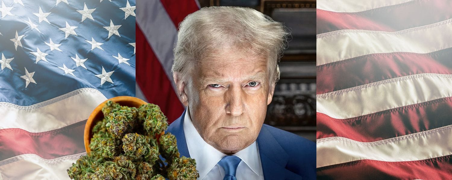 Cannabis Rescheduling Gains Momentum as Trump and DEA Signal Priority