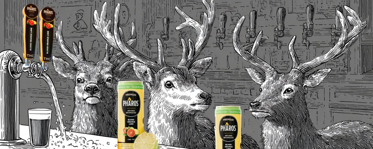 From Taprooms to Taverns: THC Beverages on Draft Mark a New Era in Social Rituals