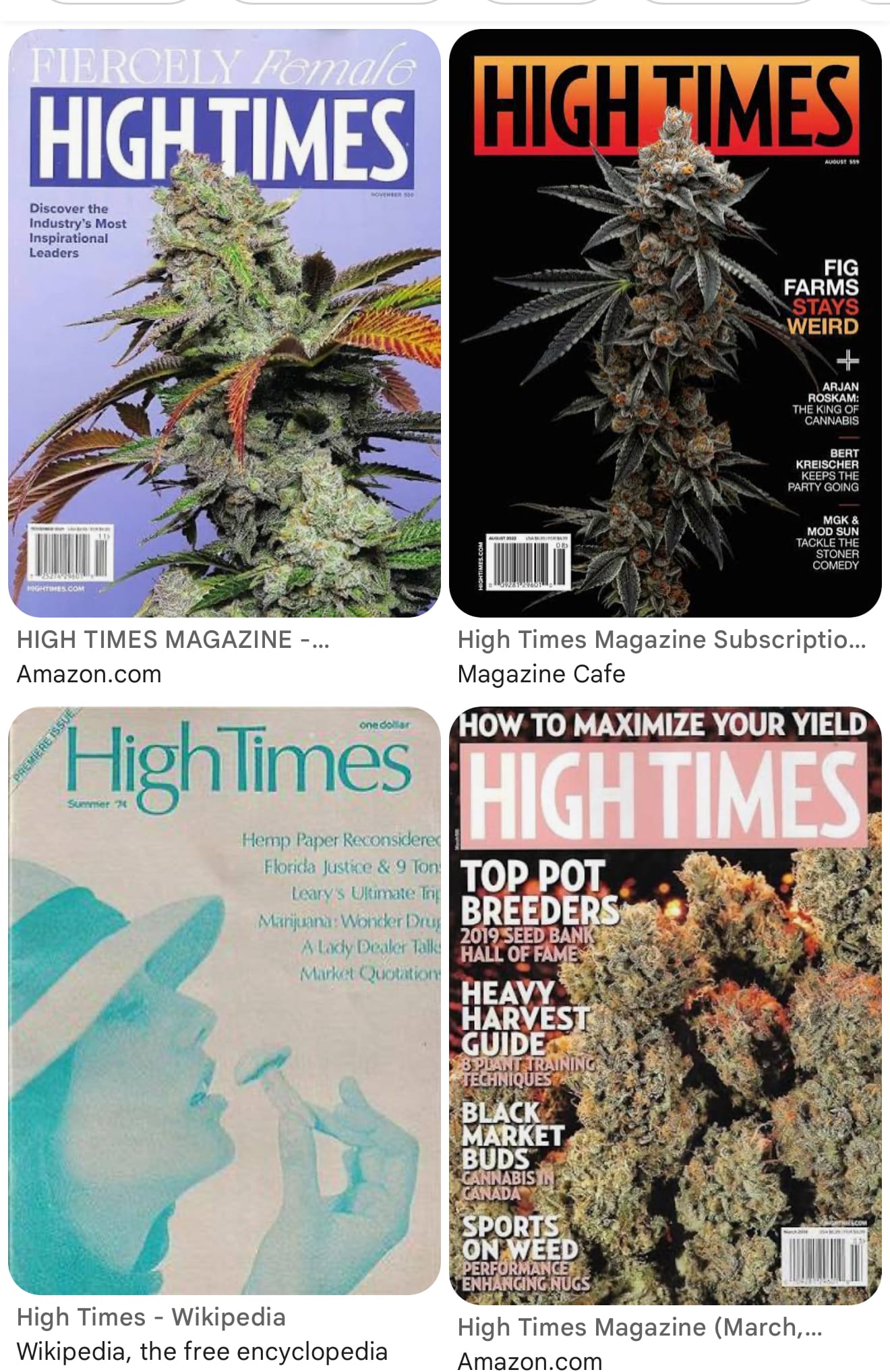 The Comeback: High Times Magazine Returns to Its Roots