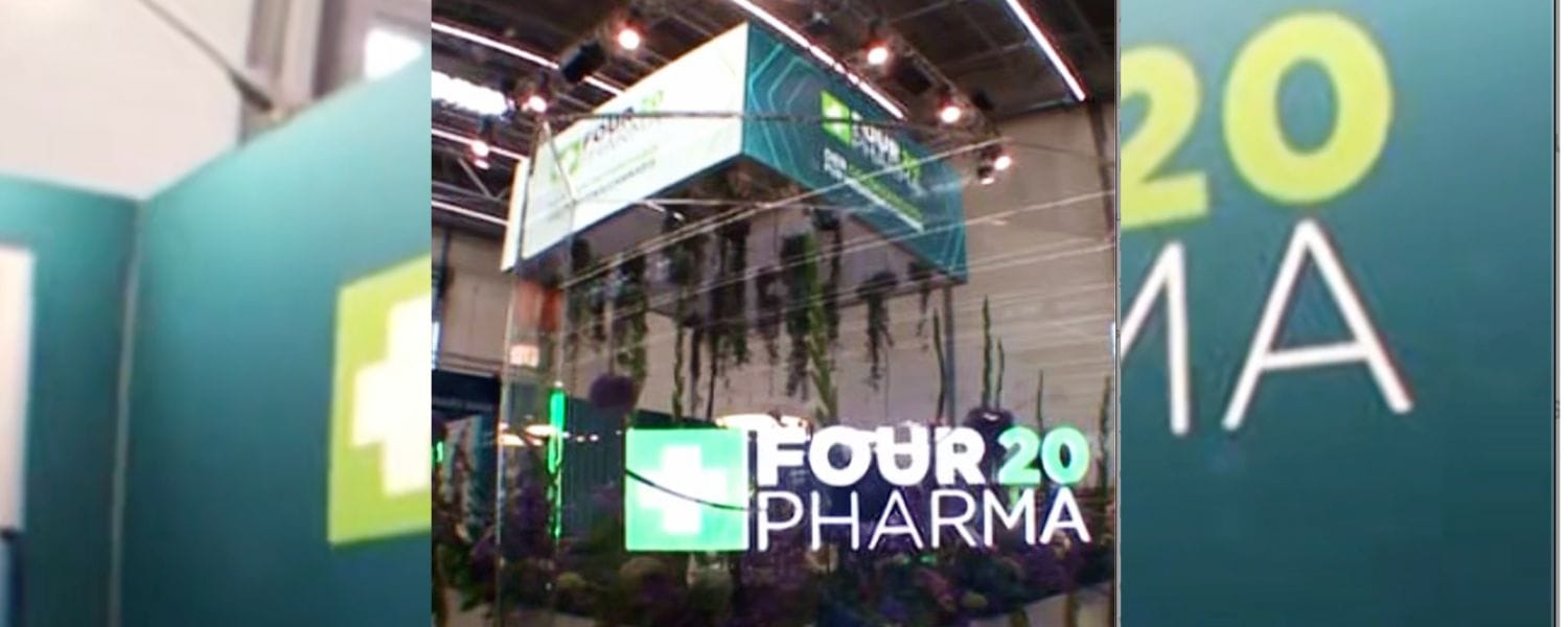 Four 20 Pharma CEO Torsten Greif: Redefining Medical Cannabis in Germany and Beyond