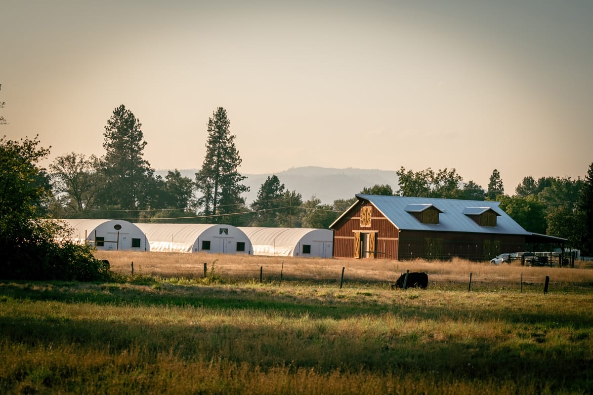 Weedsday Playlist: Skunk Processors' Josie Gebhardt Shares 5 Songs For Your Next Smoke Sesh