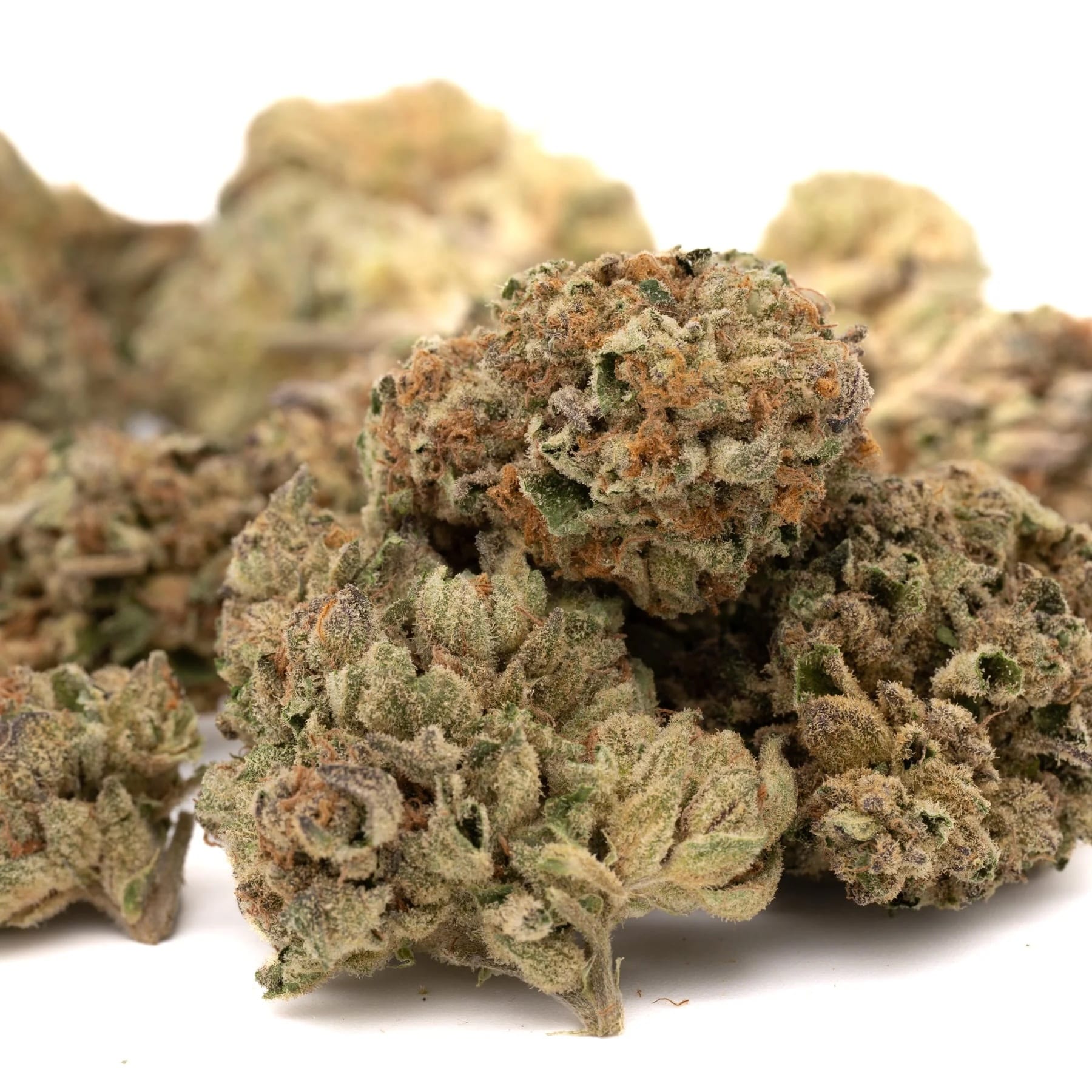 Best THCA Wholesale Websites