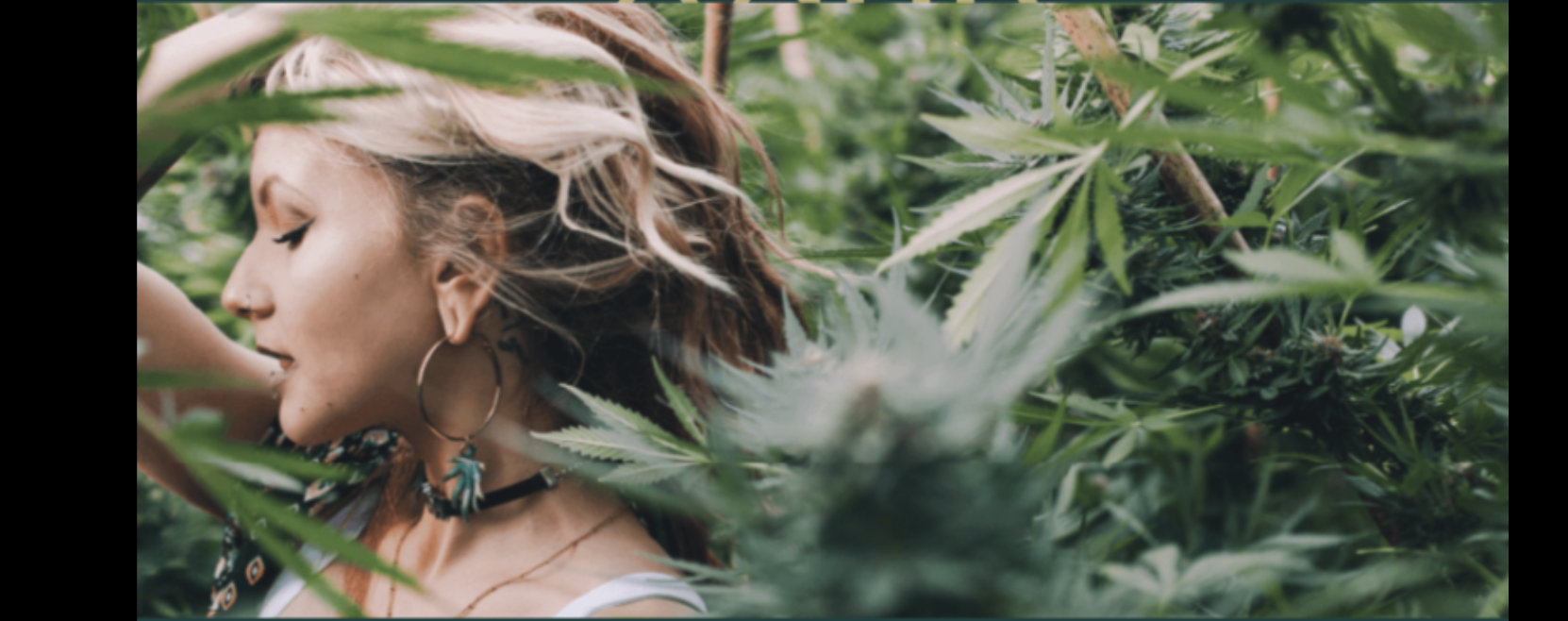 A Garden Named Edun: Where Soil Meets Solventless Purity