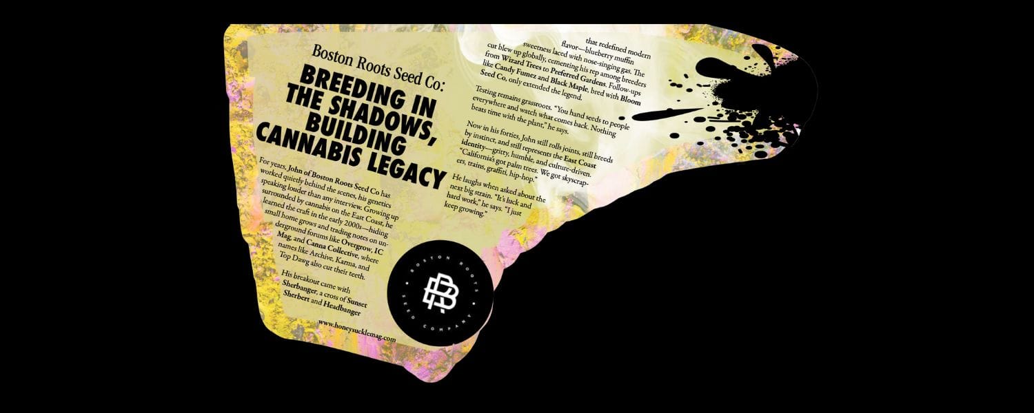 John of Boston Roots Seed Co: The Hidden Breeder Who Created Sherbanger and Influenced Modern Genetics