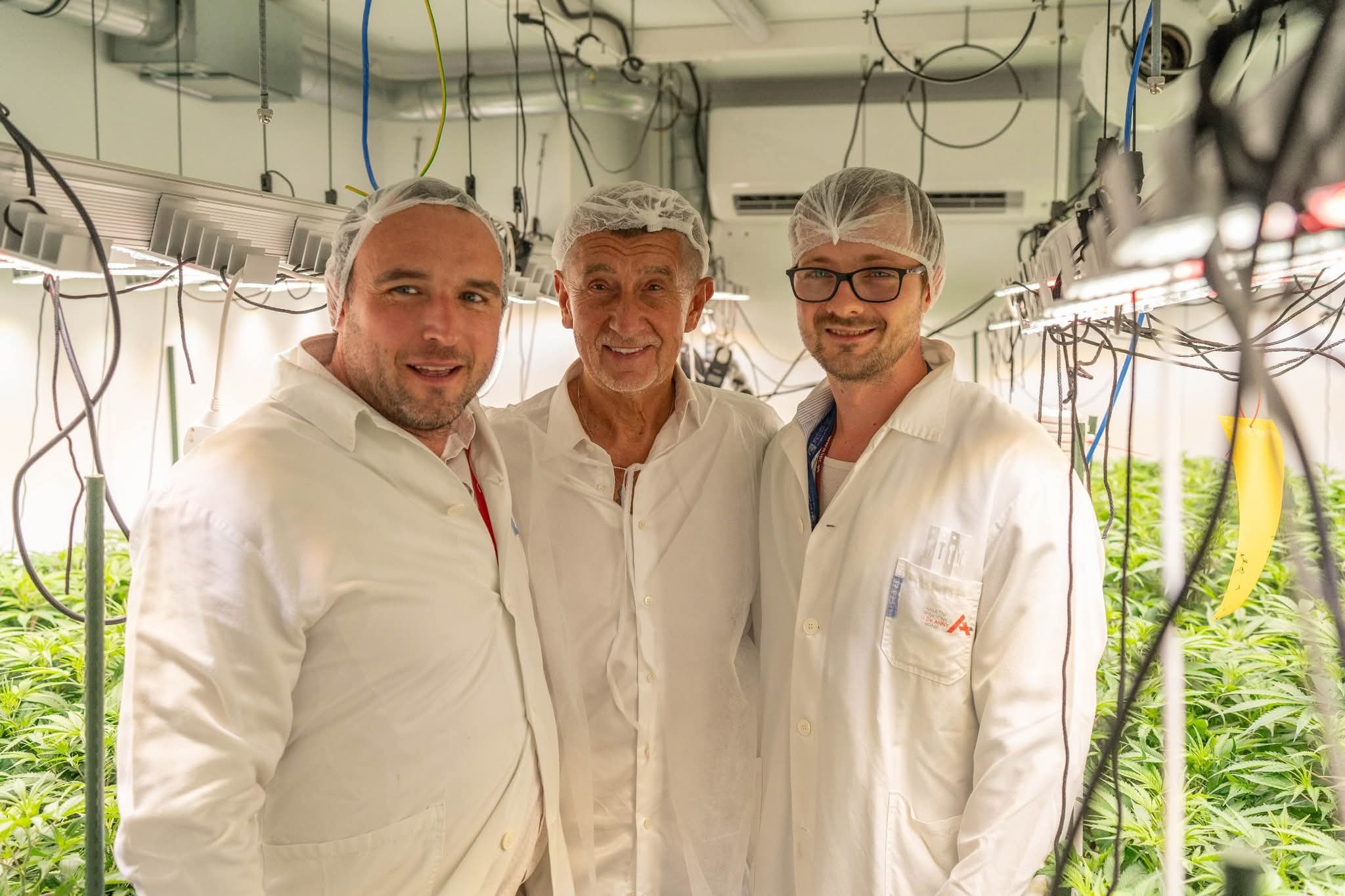 St. Anne’s University Hospital: The World’s Only Medical Cannabis Grow Located in a Hospital
