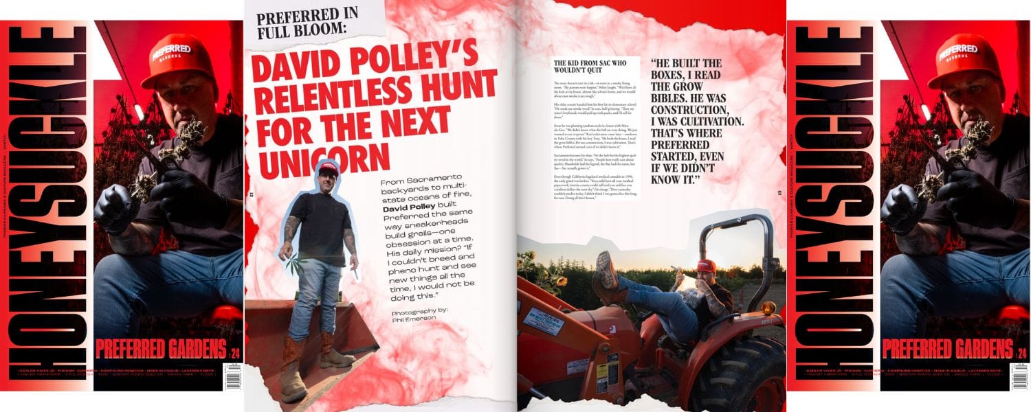 Preferred in Full Bloom: David Polley’s Relentless Hunt for the Next Unicorn