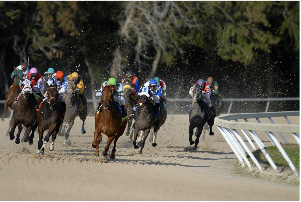 Why Horse Racing Still Attracts the Kind of Cultural Attention Most Sports Can’t Buy