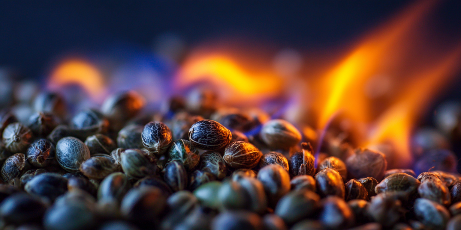 The Top 10 Cannabis Strains of 2026 (So Far) According to Blimburn Seeds The Largest Seed Bank in the World