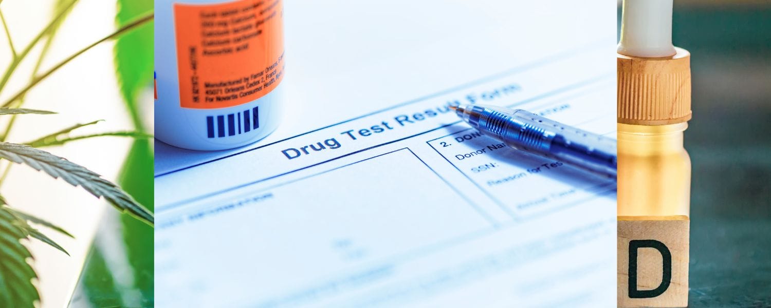 CBD and Drug Testing: What Regular Users Need to Know Before Their Next Screening