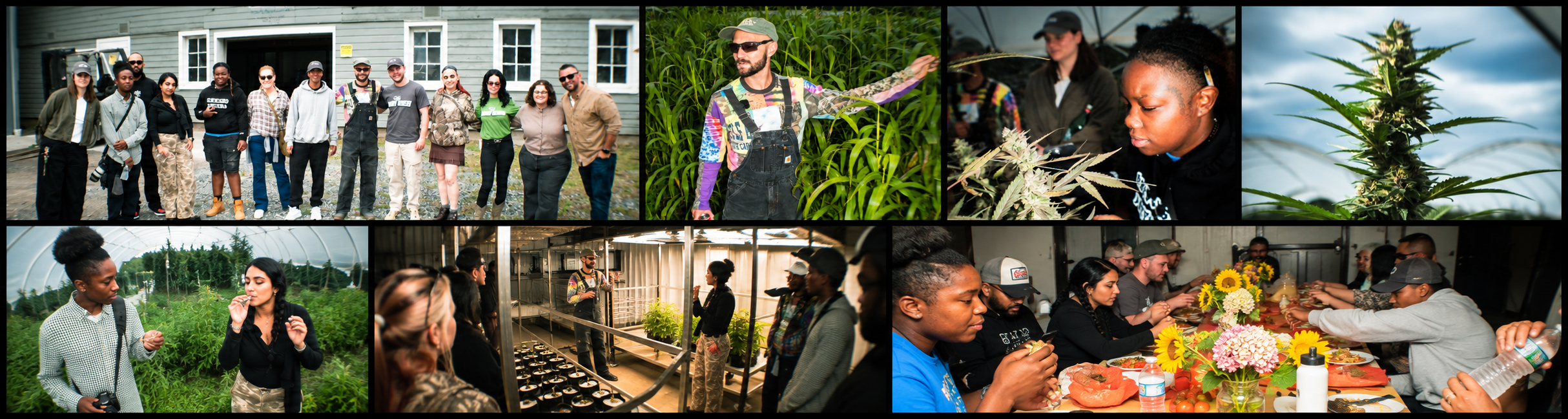 Croptober From Times Square to Hurley Grown: