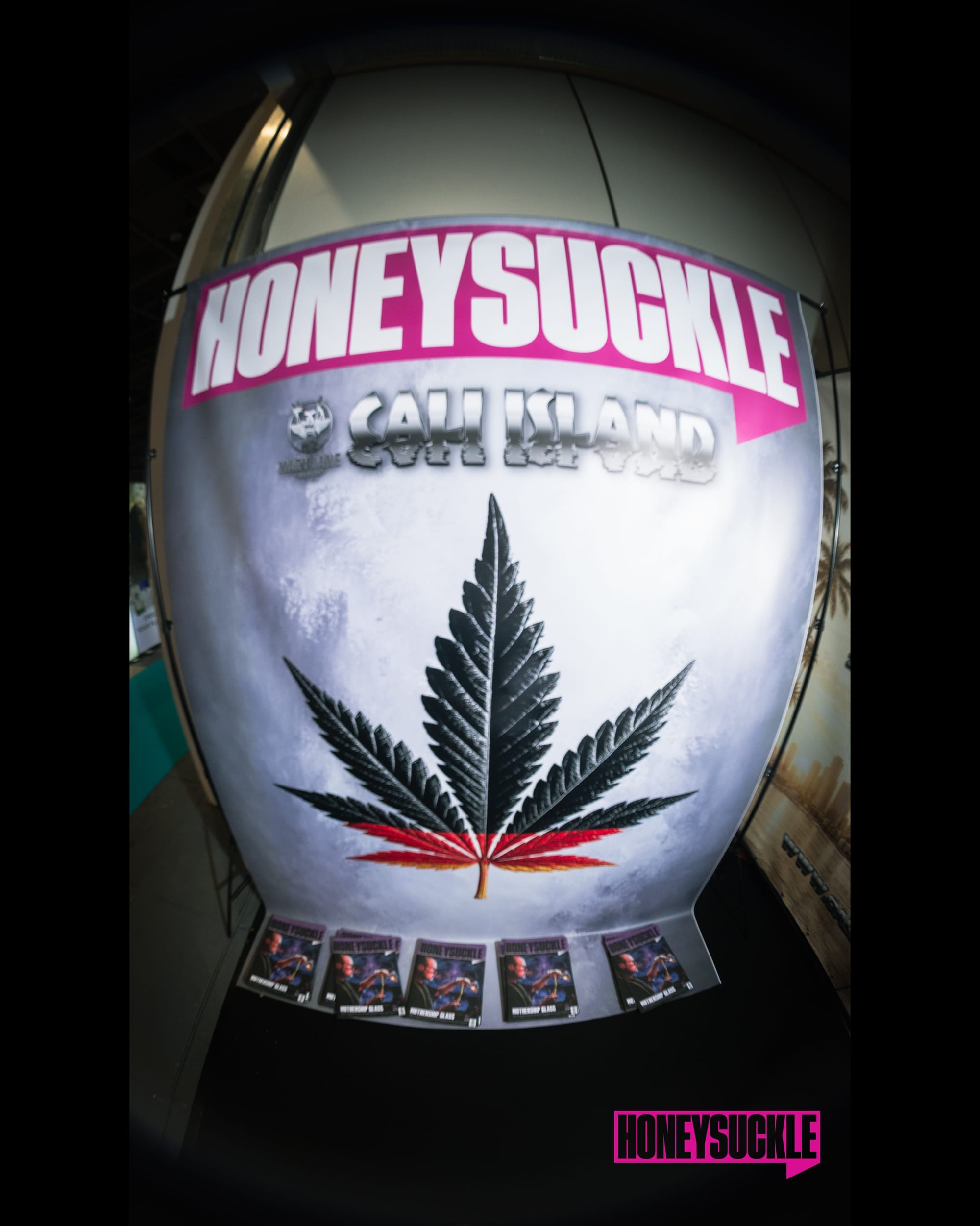 Cali Island Bridges California Cannabis Culture and Europe at Mary Jane Berlin  Copy