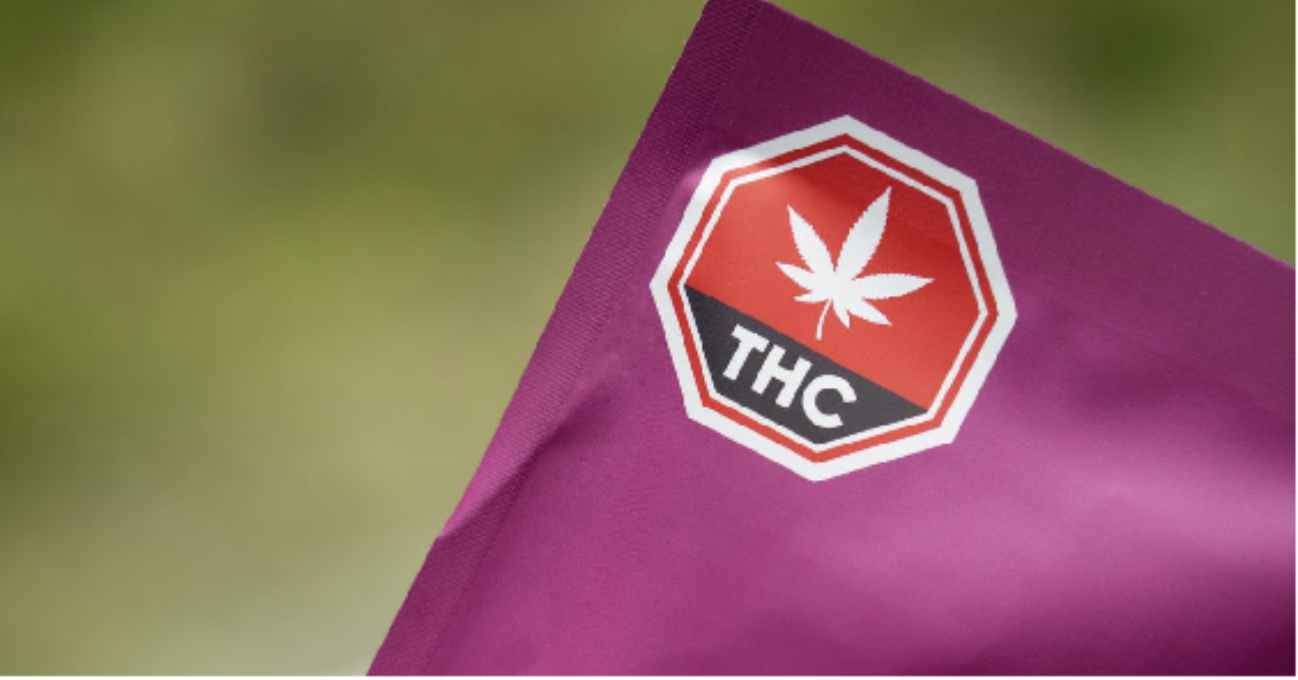 Live Rosin, Cured Resin or Extract? A New York Shopper’s Guide to the Vape Shelf