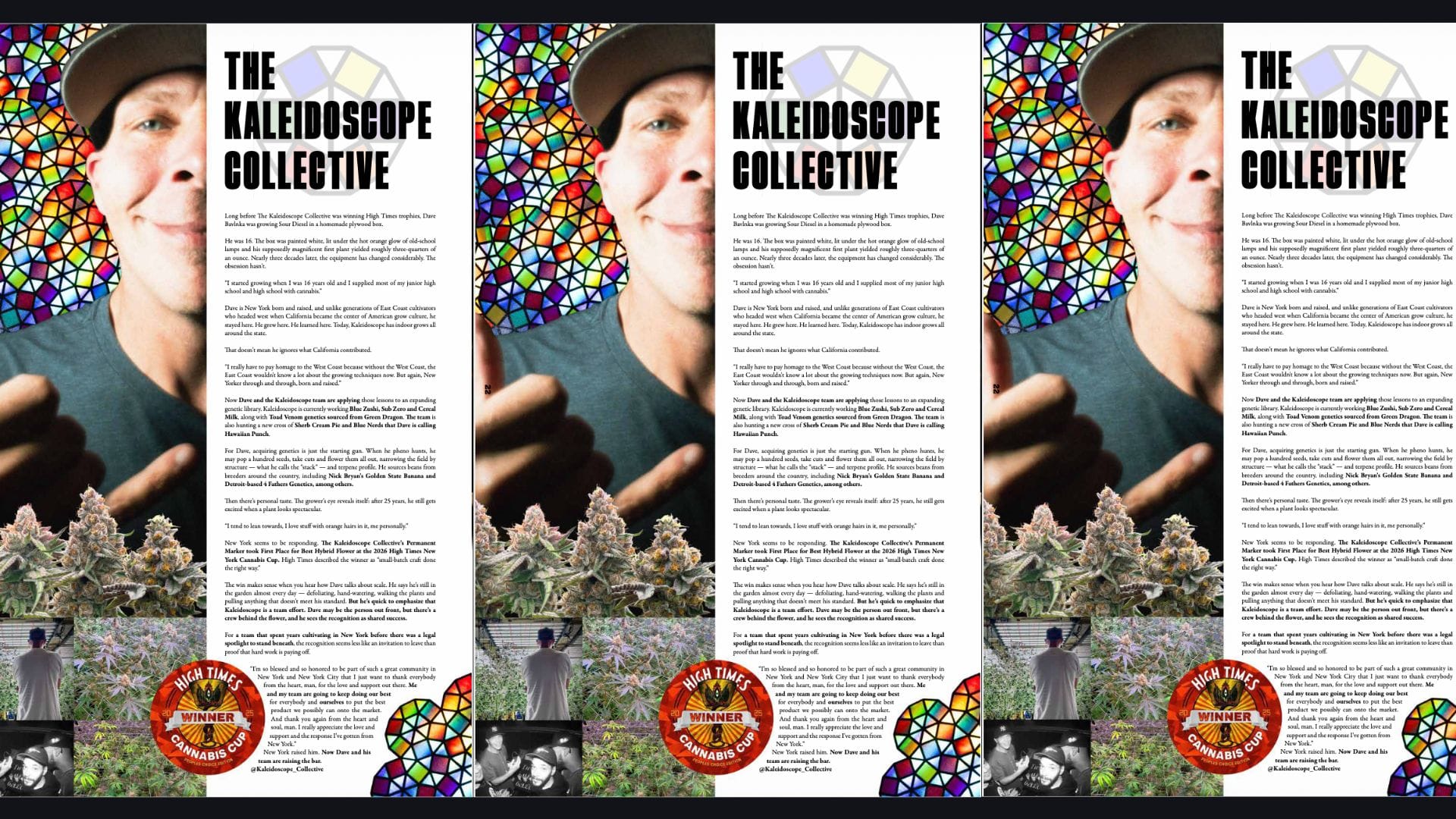 The Kaleidoscope Collective: Dave Bavlnka's Award-Winning  Flower From New York Roots to Cannabis Cup Gold