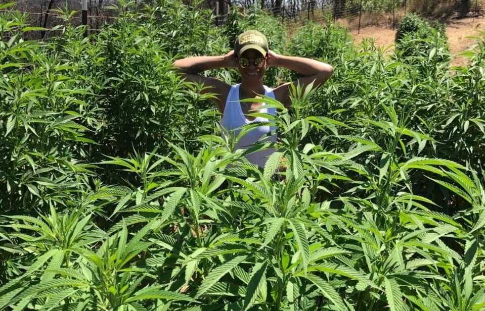 TiYanna Long Brings Social Impact: Women in Cannabis