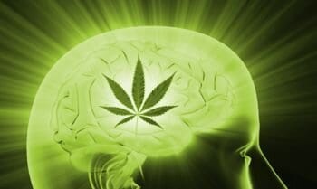 MARIJUANA OVER MIGRAINES