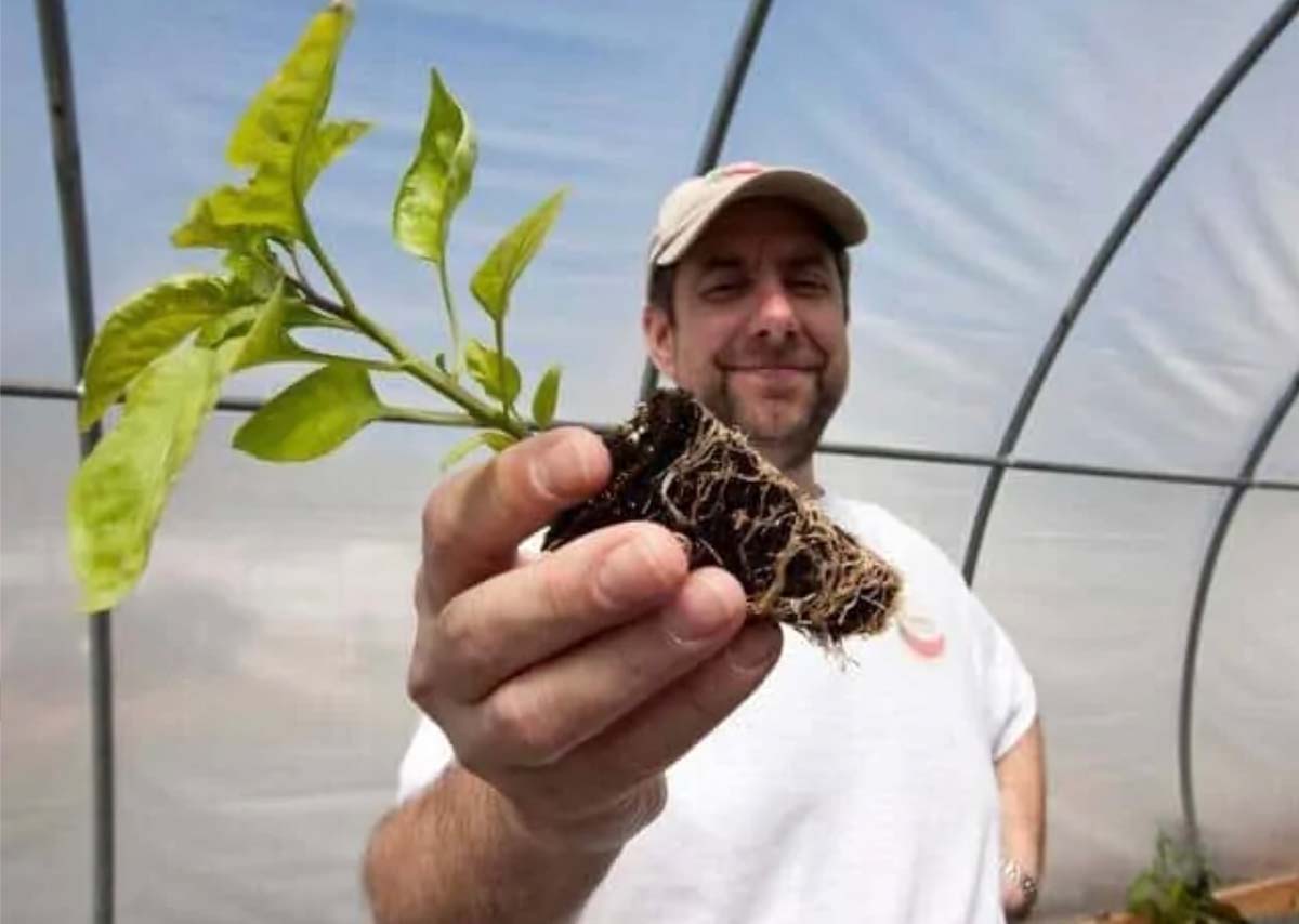 Don't Fear the Carolina Reaper: Smokin' Ed Currie on the Link Between Peppers and Addiction