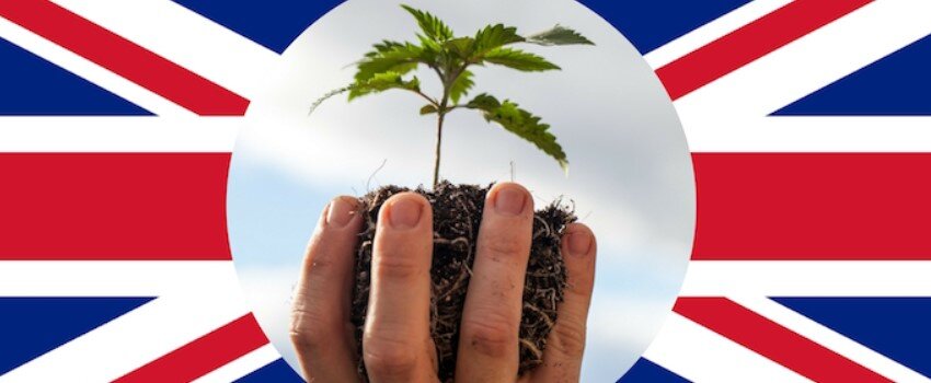BLUNT LEGAL TALK: UK Goes for Medical: The Changing Status of Worldwide Weed