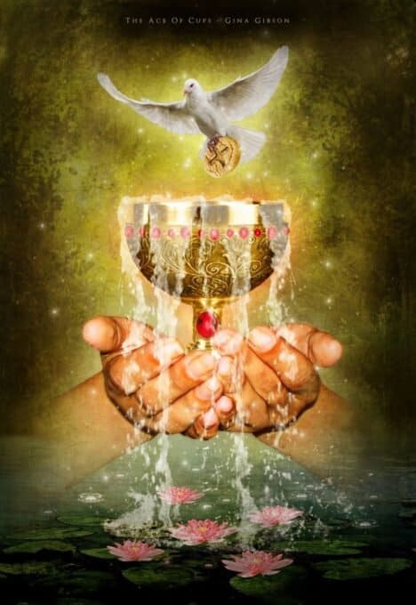 June 2019 Honeysuckle Tarot Draw