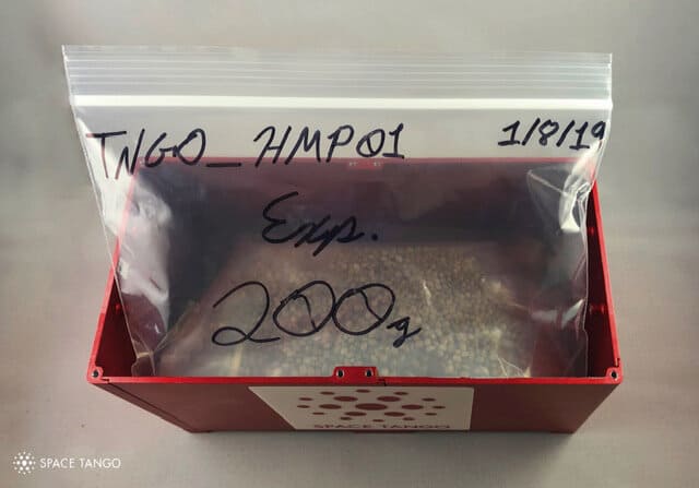 First Hemp Seeds Make History in Space: A Honeysuckle Exclusive Inside the Space Tango Mission