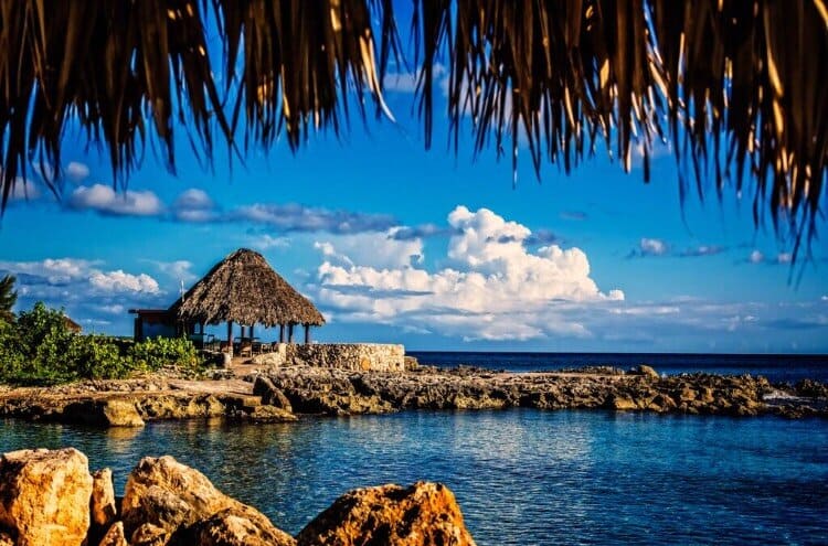 COMING HOME: CANNA TOURISM AND THE BLACK DIASPORA