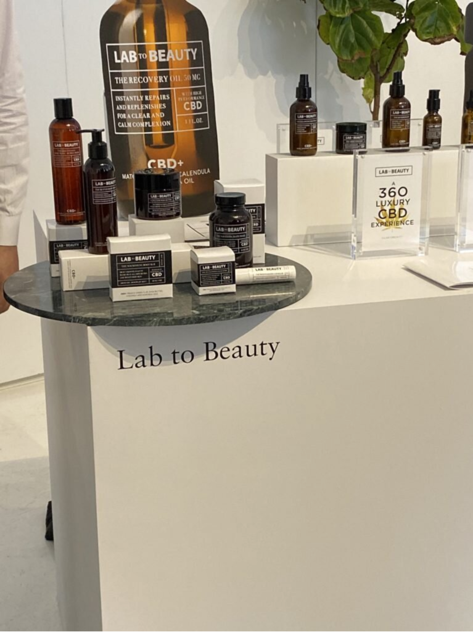 lab-to-beauty-display-at-lmcc
