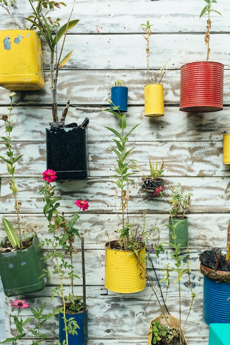 The Power of Collective Action: The Rise of Urban Environmental Stewardship