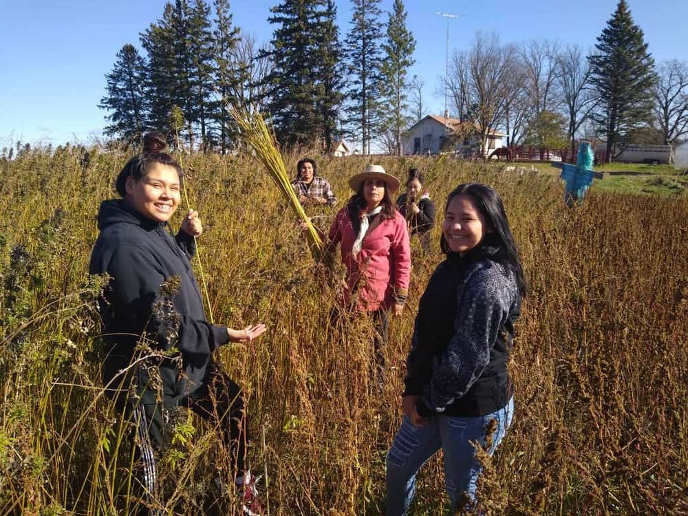 Winona LaDuke and her farm team harvest hemp for fiber and textiles at Winona’s Hemp & Heritage Farm in northern Minnesota.