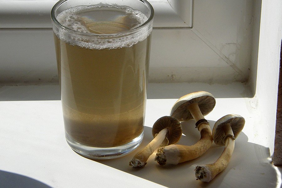 Mushrooms next to a glass.