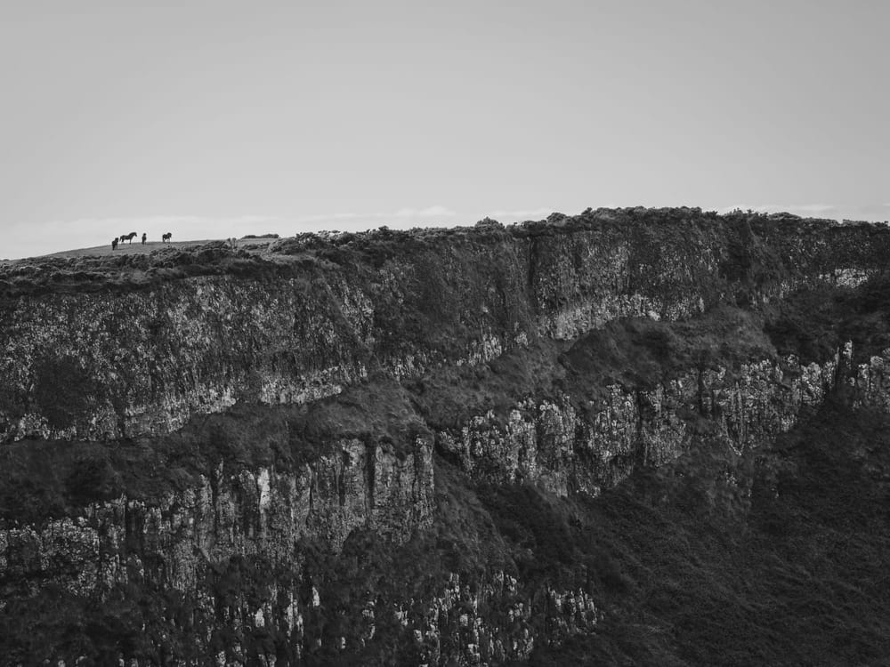 Experiments In Self Publishing